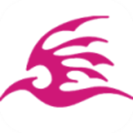 飞极速影视App免费版