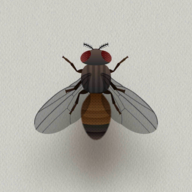 猫猫玩具catalone...