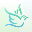 麻雀直播视频免费版