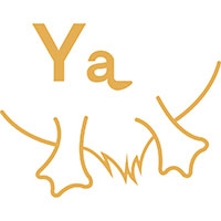 萌丫记账app安卓版