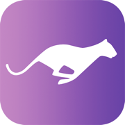 云豹影视最新版