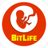 BitLife