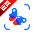 昆虫识别助手