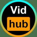 Vidhub视频库
