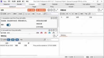 burpsuite