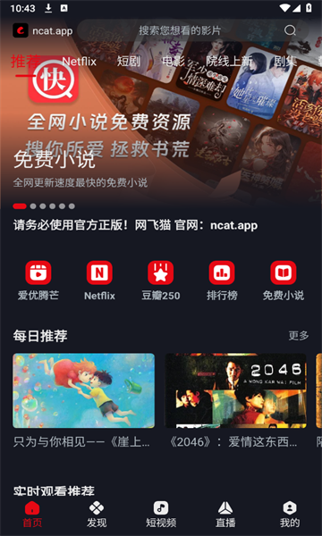 网飞猫6