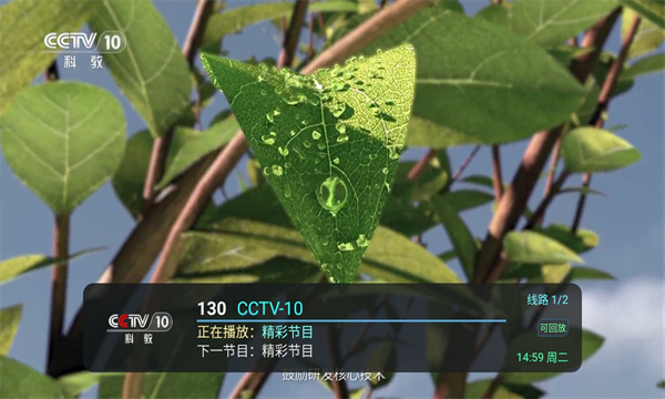 全球直播TV版1