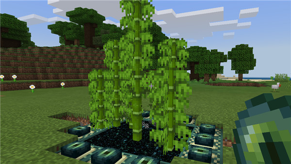 我的世界1.1.4旧版本5