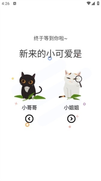 猫趣漫画1