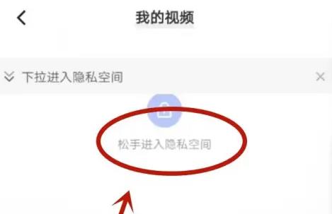 vivo浏览器12