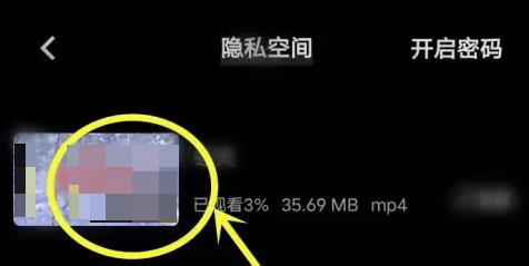 vivo浏览器13