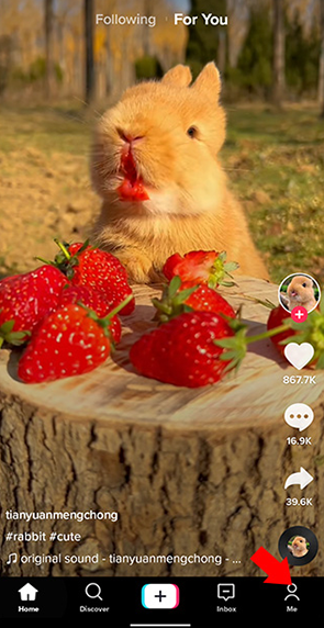 TikTok破解版无限制7