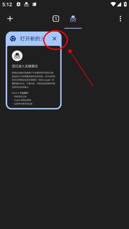 谷歌浏览器国际版10