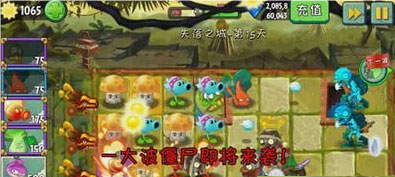 植物大战僵尸2国际版5