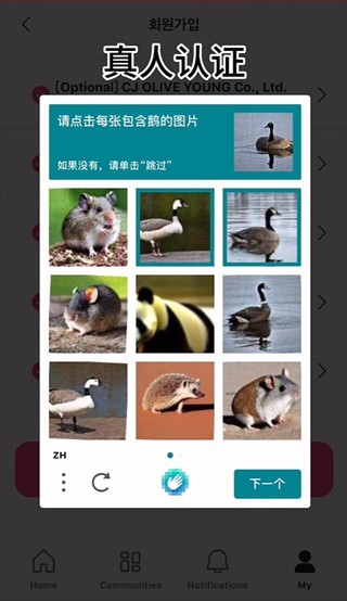 mnetplus9